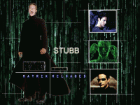 Stubb_matrix.gif