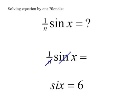 blonde_equation[1].webp