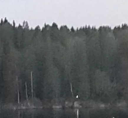 IMG-20210828-WA0042~2.webp IMG-20210828-WA0042~2.webp