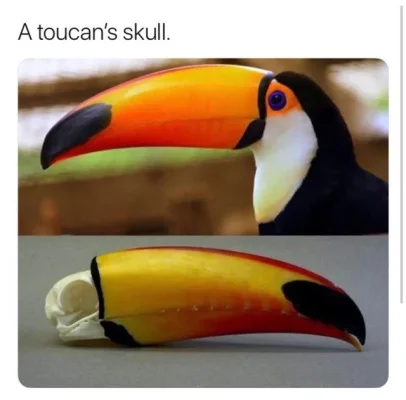 1tklh1xb3a061.webp 1tklh1xb3a061.webp