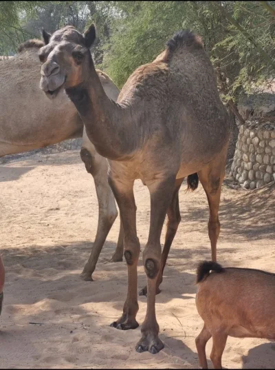 Screenshot_20211213-125359_QuickPic.webp Screenshot_20211213-125359_QuickPic.webp