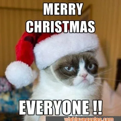 Merry-Christmas-Memes.webp