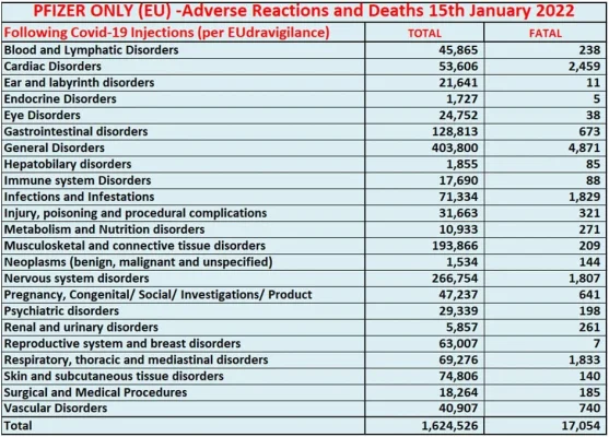 pfizer 15.1.2022 mennessä.webp