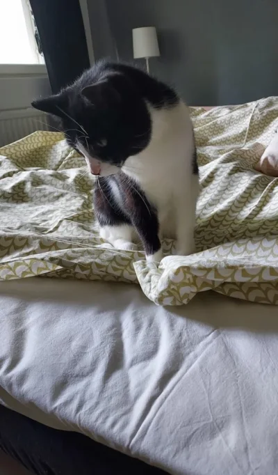 20220528_184440.webp 20220528_184440.webp