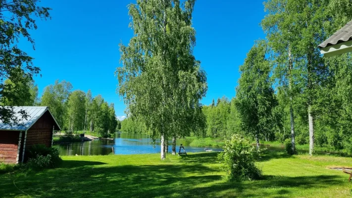 20220624_153652.webp 20220624_153652.webp