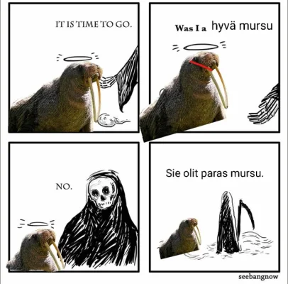 koktlxlyplc91.webp koktlxlyplc91.webp