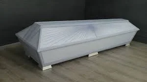 images.jpeg-3.webp images.jpeg-3.webp