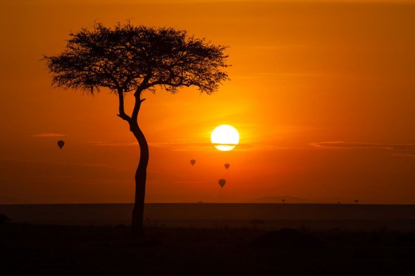 Maasai_Mara_National_Reserve_Kenya.jpg