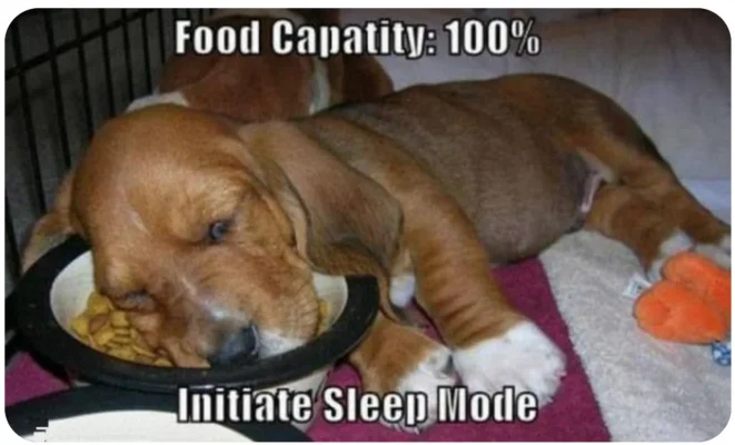 Screenshot 2022-08-14 144138.webp