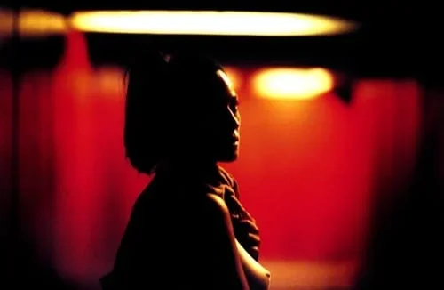 500full (18).webp 500full (18).webp