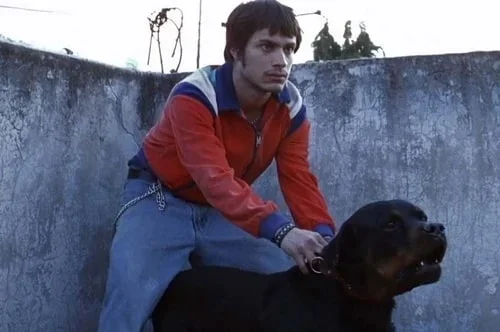 500full (24).webp 500full (24).webp