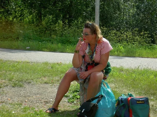 runosmäen ruusu.webp