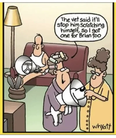 20220912_180311.webp 20220912_180311.webp