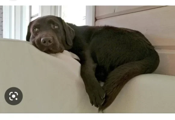 20221019_192323.webp 20221019_192323.webp