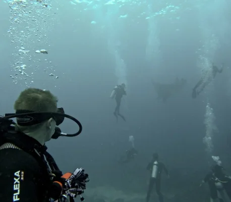 Screenshot_20221104_093120_Lightroom for Samsung.webp