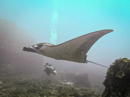 Screenshot_20221104_092220_Lightroom for Samsung.webp