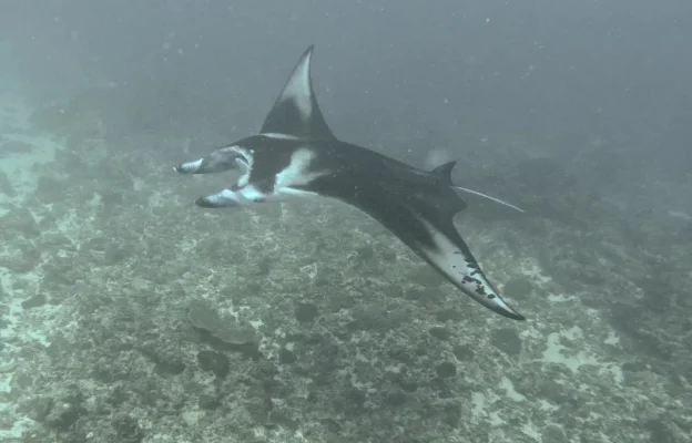 Screenshot_20221104_201559.webp Screenshot_20221104_201559.webp