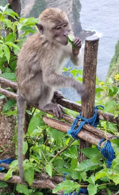 Screenshot_20221108_173630.webp Screenshot_20221108_173630.webp