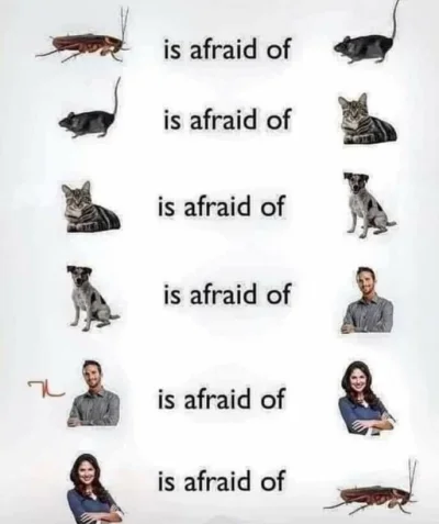 20221108_145436.webp 20221108_145436.webp