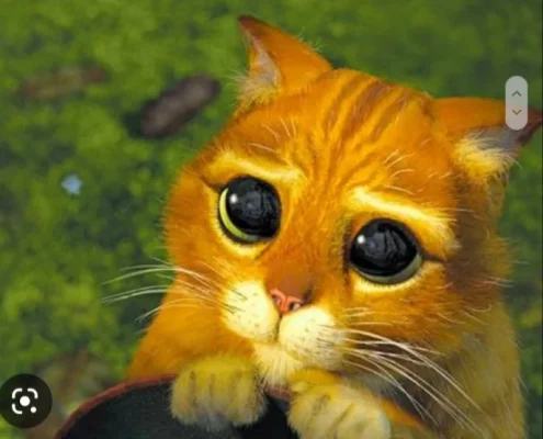 20230110_185952.webp 20230110_185952.webp