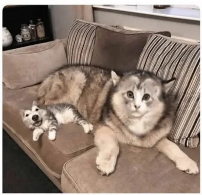 Screenshot 2023-02-11 064850.webp