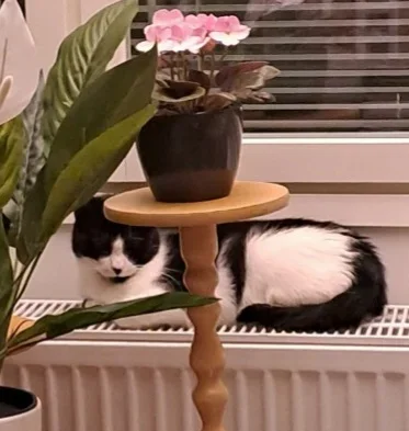 20230226_153617.webp 20230226_153617.webp