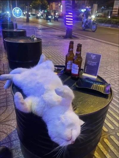 Screenshot 2023-03-12 083350.webp