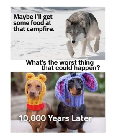 Screenshot 2023-03-19 092212.webp Screenshot 2023-03-19 092212.webp