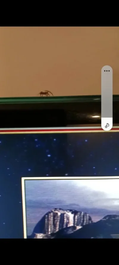 Screenshot_20230413_211515_Video Player.webp