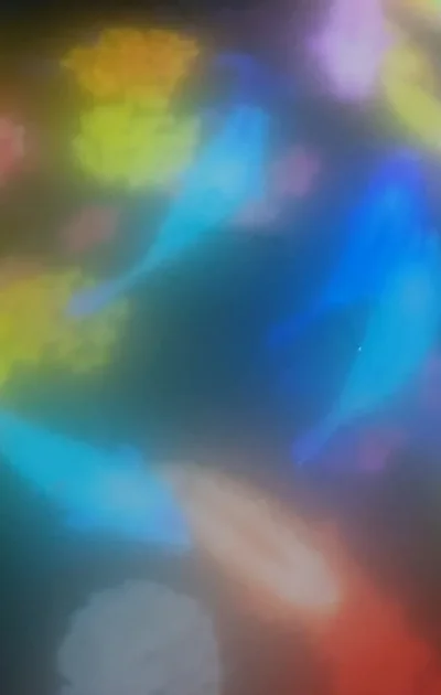 Screenshot_20230525_203330_MX Player Pro.webp