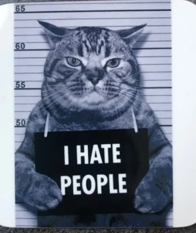 20230703_135222.webp 20230703_135222.webp