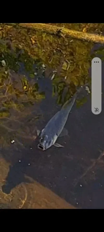 Screenshot_20230719_204242_Video Player.webp