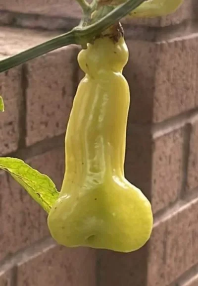 Screenshot_20230825_132640_Messenger.webp Screenshot_20230825_132640_Messenger.webp