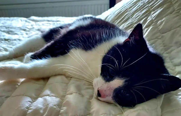 20231004_154234.webp 20231004_154234.webp