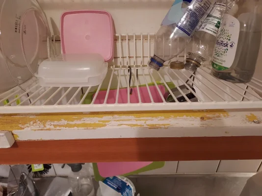 20231114_152106.webp 20231114_152106.webp