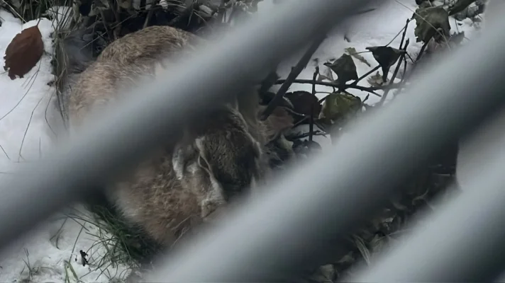 IMG_6969.webp IMG_6969.webp