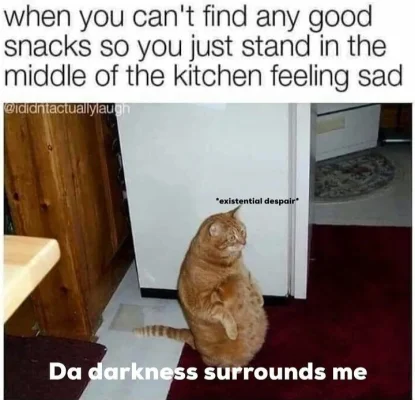 20231205_232738.webp 20231205_232738.webp