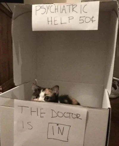 20231208_162022.webp 20231208_162022.webp