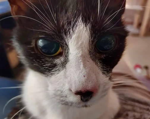 20231213_145054.webp 20231213_145054.webp