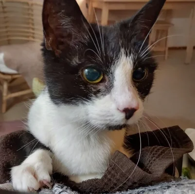 20240124_190054.webp 20240124_190054.webp