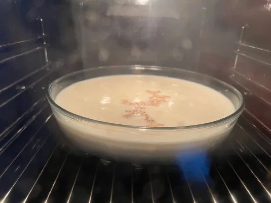 IMG_9059.jpeg IMG_9059.jpeg