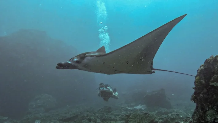 GX017758_1668259940659-5 (1).webp