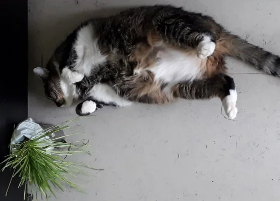 20240505_100335.webp 20240505_100335.webp