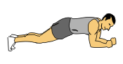 elbow-plank-exercise.gif