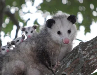 20240523_095143.webp 20240523_095143.webp