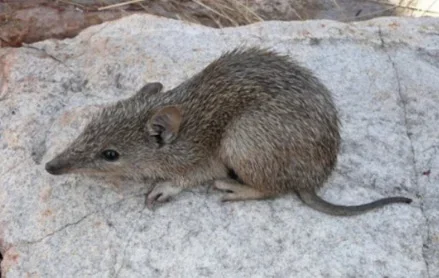 20240523_095119.webp 20240523_095119.webp