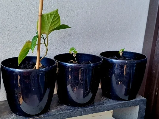 20240614_165909.webp 20240614_165909.webp