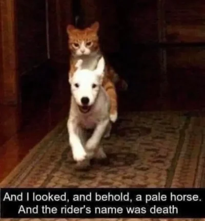 Screenshot_20250420_091838_Samsung Internet.webp Screenshot_20250420_091838_Samsung Internet.webp