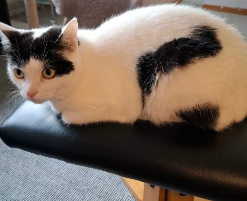 20250419_200658.webp 20250419_200658.webp