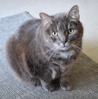 20250421_113417.webp 20250421_113417.webp